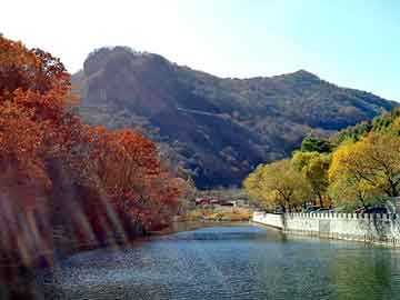 管家婆黑白马报图库，对决小说